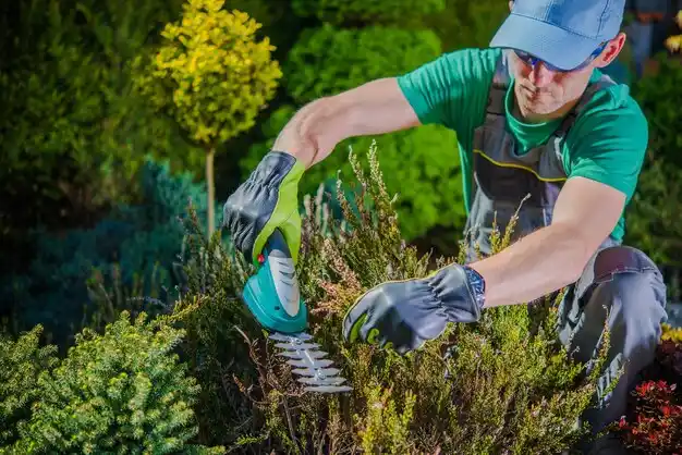 landscaping services Salem